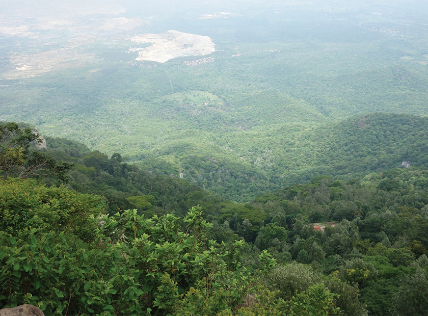Lady's Seat View